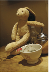 Mon lapin assis à côté de sa tasse de thé